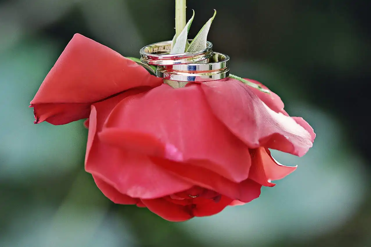 portfolio de mariage img-66