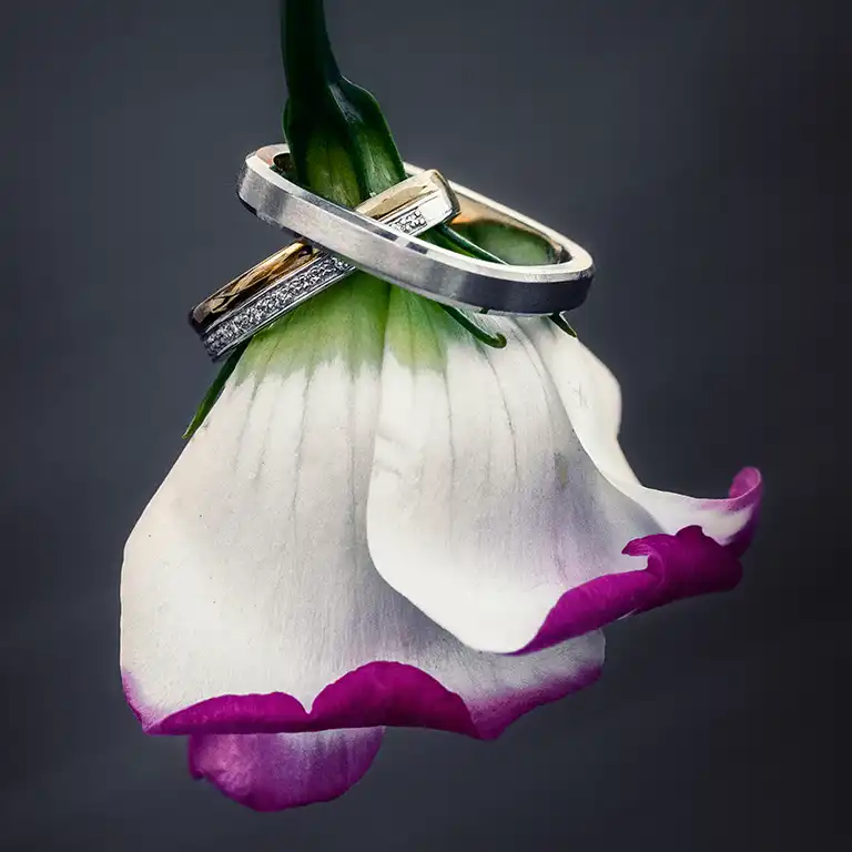 Les alliances de mariage délicatement posées sur une rose blanche, symbole d'amour et d'engagement