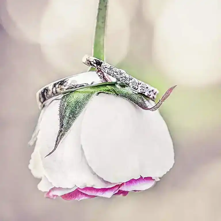 Deux alliances de mariage délicatement posées sur une rose rouge, symbole d'amour et d'engagement
